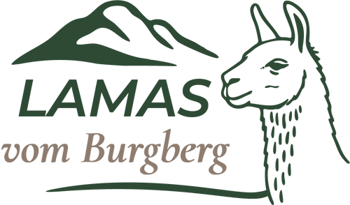 Lamas vom Burgberg